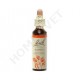 Bach Flower Remedies for Animals - Aspen